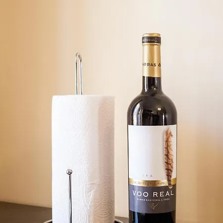 Lägenhet Historical Center Penthouse