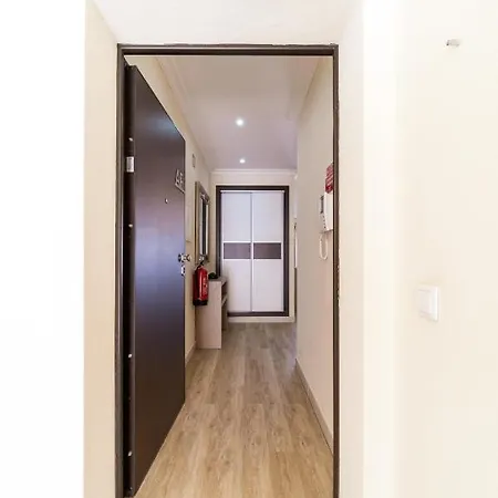 アパート Historical Center Penthouse