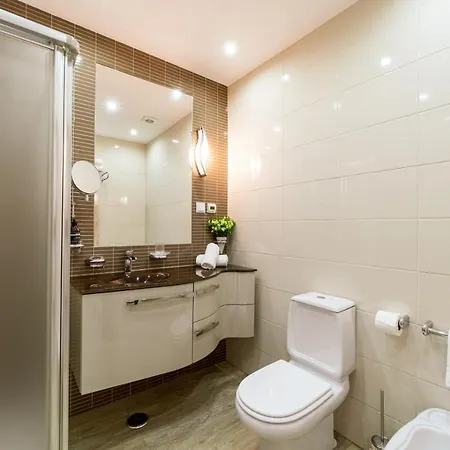 Historical Center Penthouse Daire *
